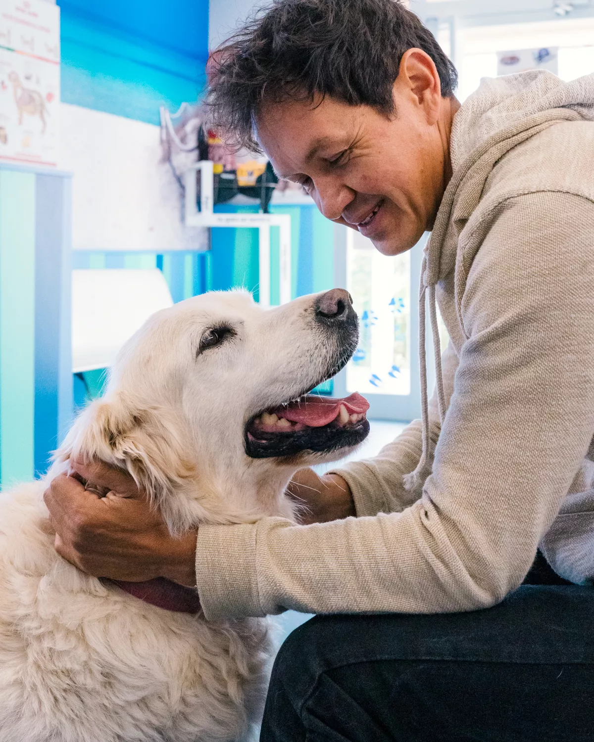 Un labrador acompañado de su dueño