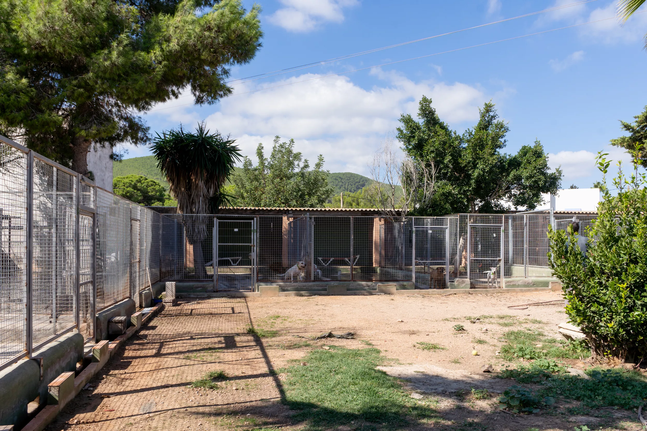 Recinto del centro de protección animal Sa Coma