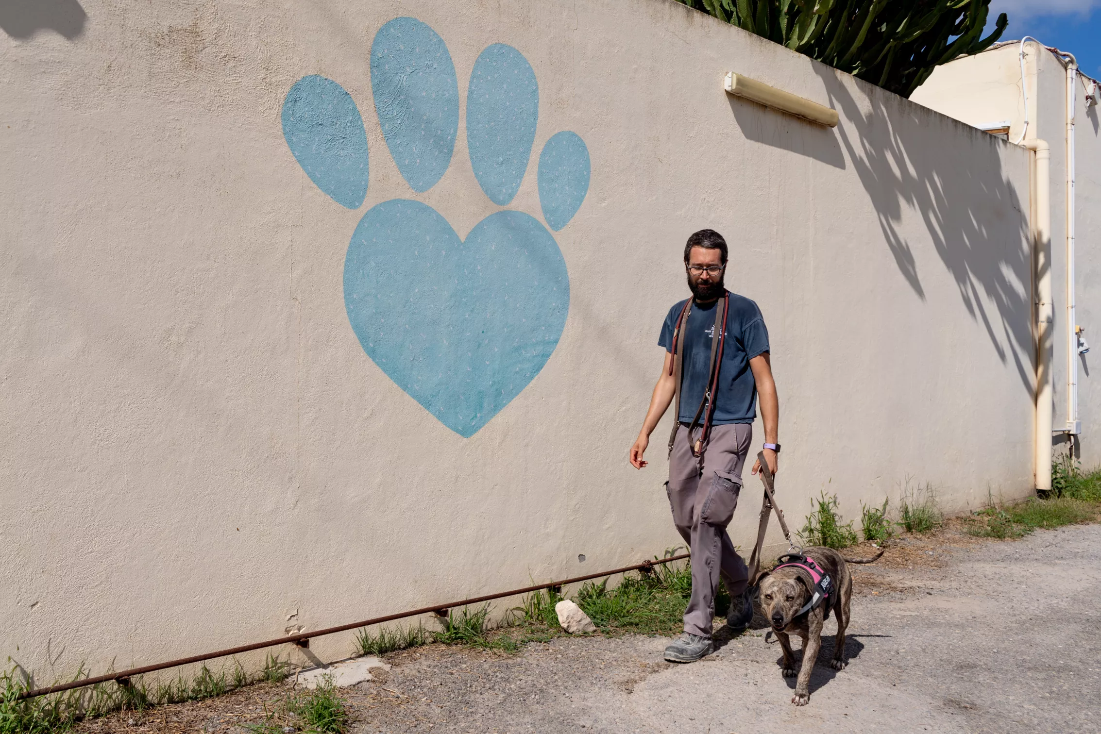 Miguel Quiñones paseando a un perro de Sa Coma