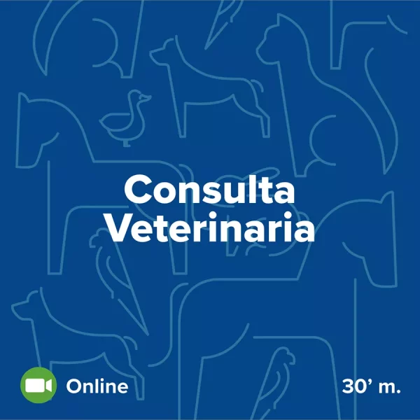 Consulta veterinaria