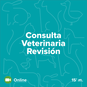 Consulta veterinaria y revisión