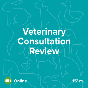 Consulta veterinaria y revisión