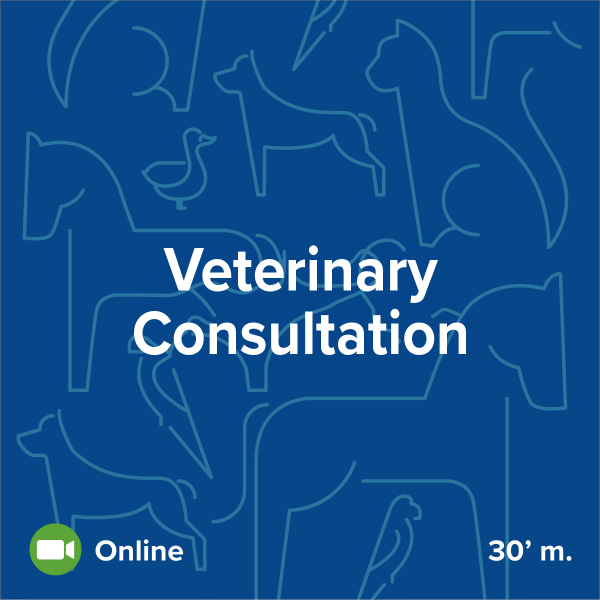 Consulta veterinaria